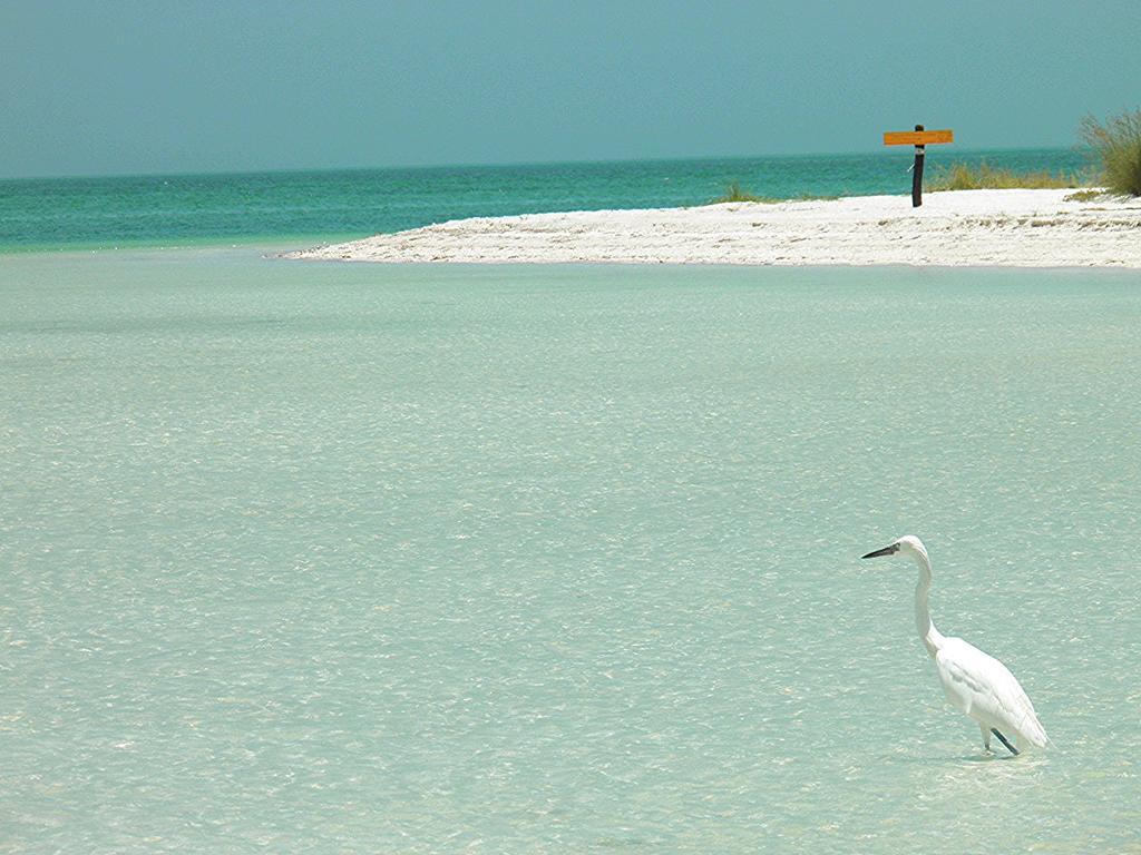 Casa Punta Coco & Club (adults Only) Holbox